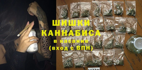 индика Кодинск