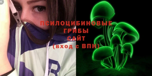мяу мяу мука Коряжма
