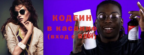 индика Кодинск