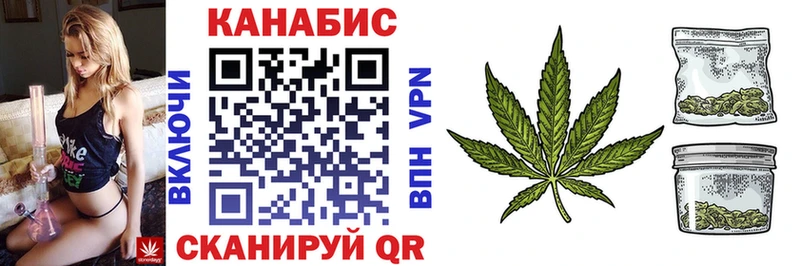 Марихуана сатива  Купить где  Новодвинск 